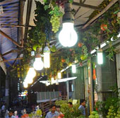 Responding to climate change from ... light bulbs