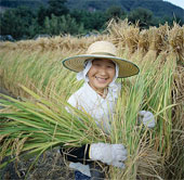 Restoring the dead fields in Japan