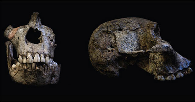 Reveal the time of breastfeeding of prehistoric people