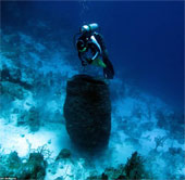 Reveal the true size of giant sea monsters