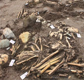 Revealed 70 ancient tombs tilted in Old Horse Horse