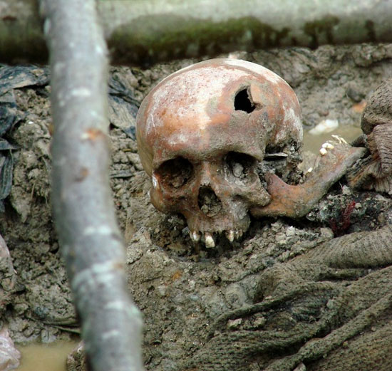 Revealed from the bones of Bosnian genocide victims