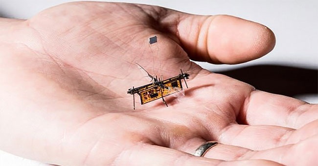 Revealing a super small robot just as light as a toothpick, can fly