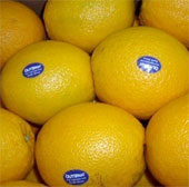 Revealing Chinese fruit