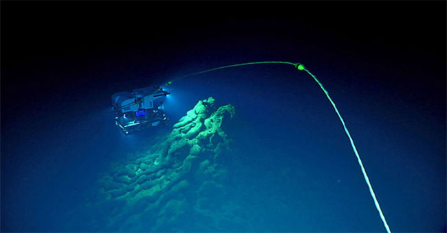 Revealing new ecosystems under the deepest
