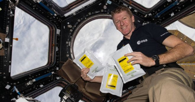 Revealing the fastest marathon runner in orbit