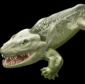 Revealing the first animal species to live on the ground