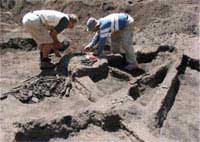Revealing the mysterious civilization in Indonesia