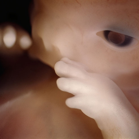 Review photos of shocking babies