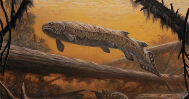 Rhizodus hibberti: Horror monster of the Carbon era