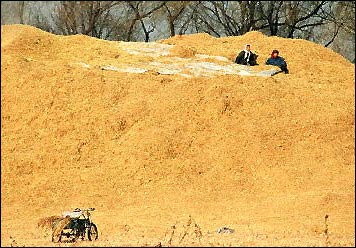 Rice husk is a clean construction material