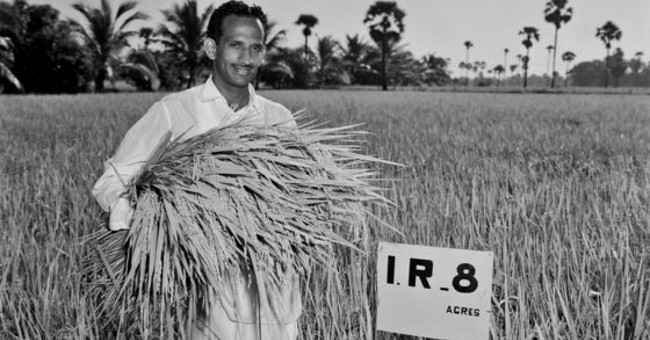 Rice varieties like miracles save millions of lives