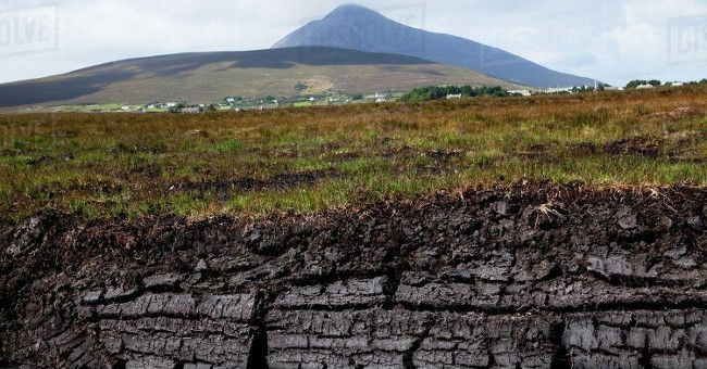 Risk of CO2 emissions from Central African peat swamps