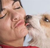Risk of disease caused by pet kissing