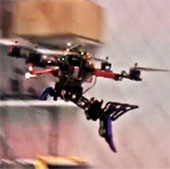 Robot bird prey in the air