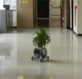 Robot care ornamental plants