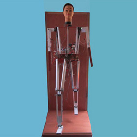 Robot command for the army