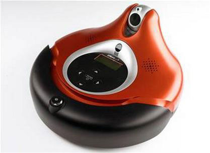Robot connected to remote users