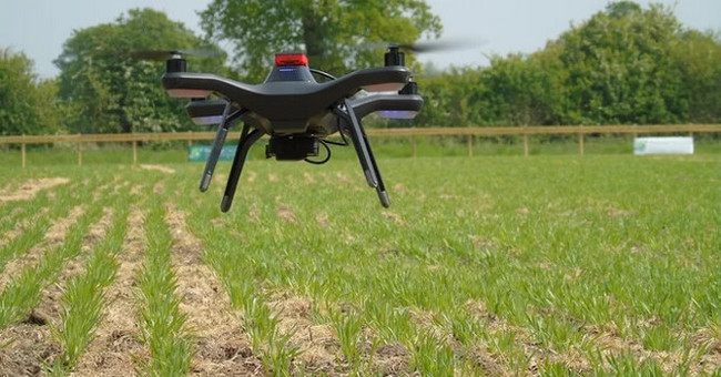 Robot farms harvest the first crop completely automatically
