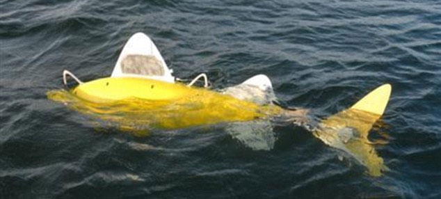 Robot fish detect contaminated water