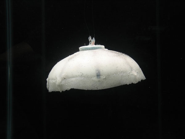 Robot jellyfish spotted oil spills