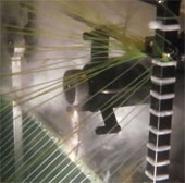 Robot killing jellyfish