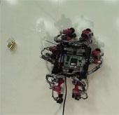 Robot lizards - equipment dedicated to the universe in the future