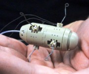 Robot monitoring environmental pollution