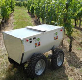 Robot monitoring the vineyard