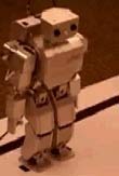 Robot performs human commands