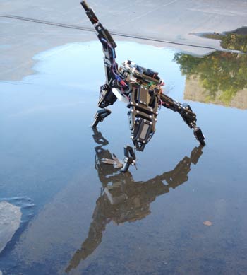Robot self-judgment