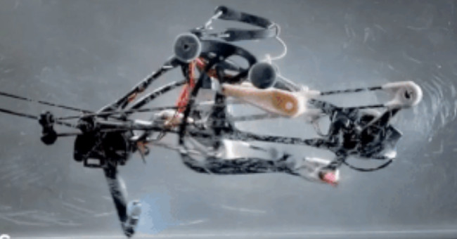 Robot uses complete mechanical ability to balance