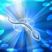 Robot works like sperm