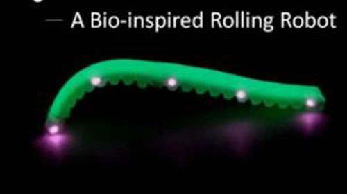 Robotic soft