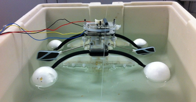 Robots can eat for energy like humans