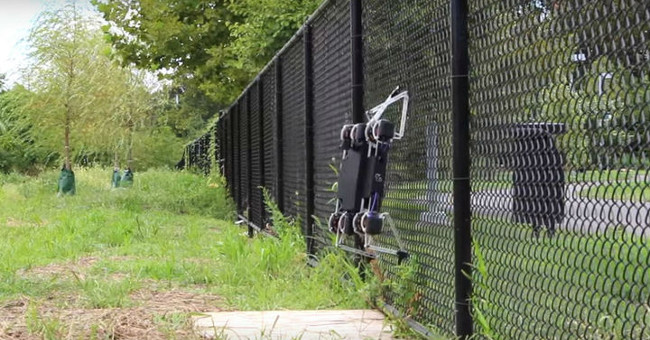 Robots can jump like puppies, climb fences and open doors easily