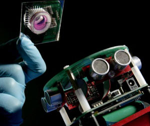 Robots live by the mouse brain