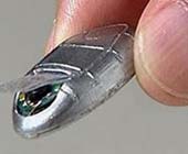 Robots move in the body to make predictions and heal