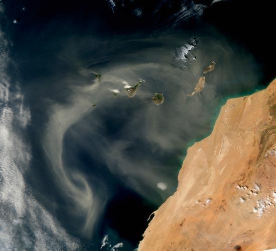 Role of determining the sea temperature of dust