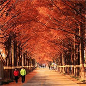 Romantic autumn roads around the world