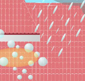 Roofs absorb pollutants