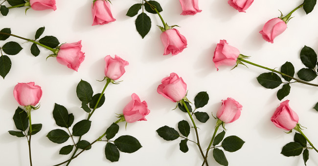 Roses are coming soon