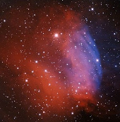 Roses blurred in the universe