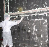 Rounding out the announcement of the bird flu epidemic infected with H5N1