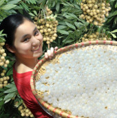 RPG-6 enhances the quality of the Hung Yen cage label
