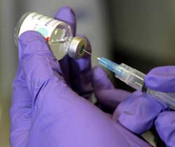 Rubella vaccination should not be given during pregnancy