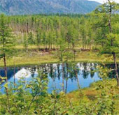 Russia and Mongolia will establish transnational conservation zones