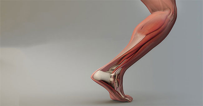 Russia developed a transplant to replace tendons and ligaments