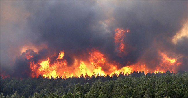 Russia develops mines to fight forest fires