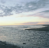 Russia discovered new life in the Far East Sea